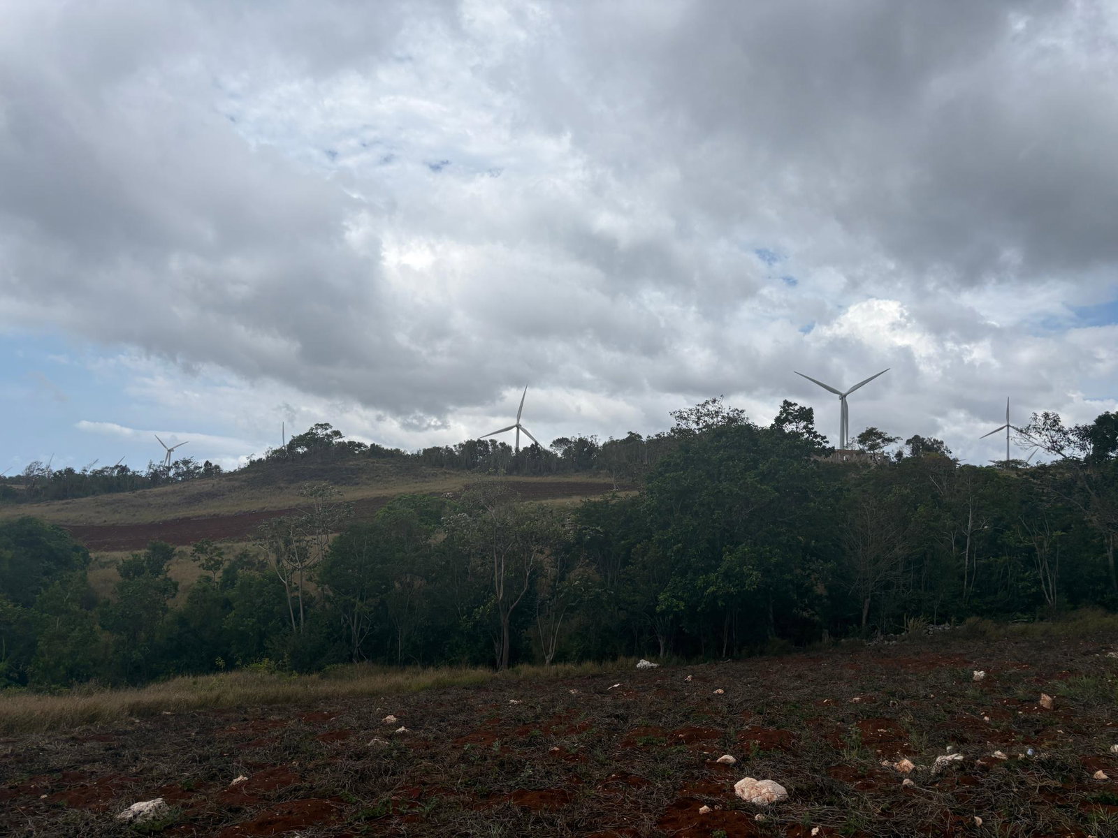 Eighth image of Rosehill, Lottery Distric in Plowden Hill, Manchester, Jamaica - property is For Sale