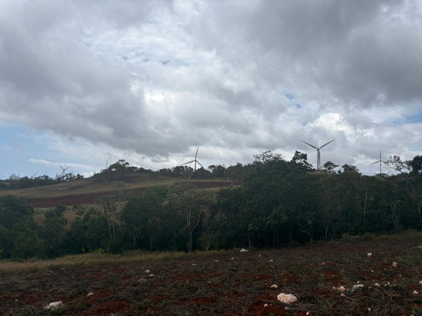 Eighth image of Rosehill, Lottery Distric in Plowden Hill, Manchester, Jamaica - property is For Sale