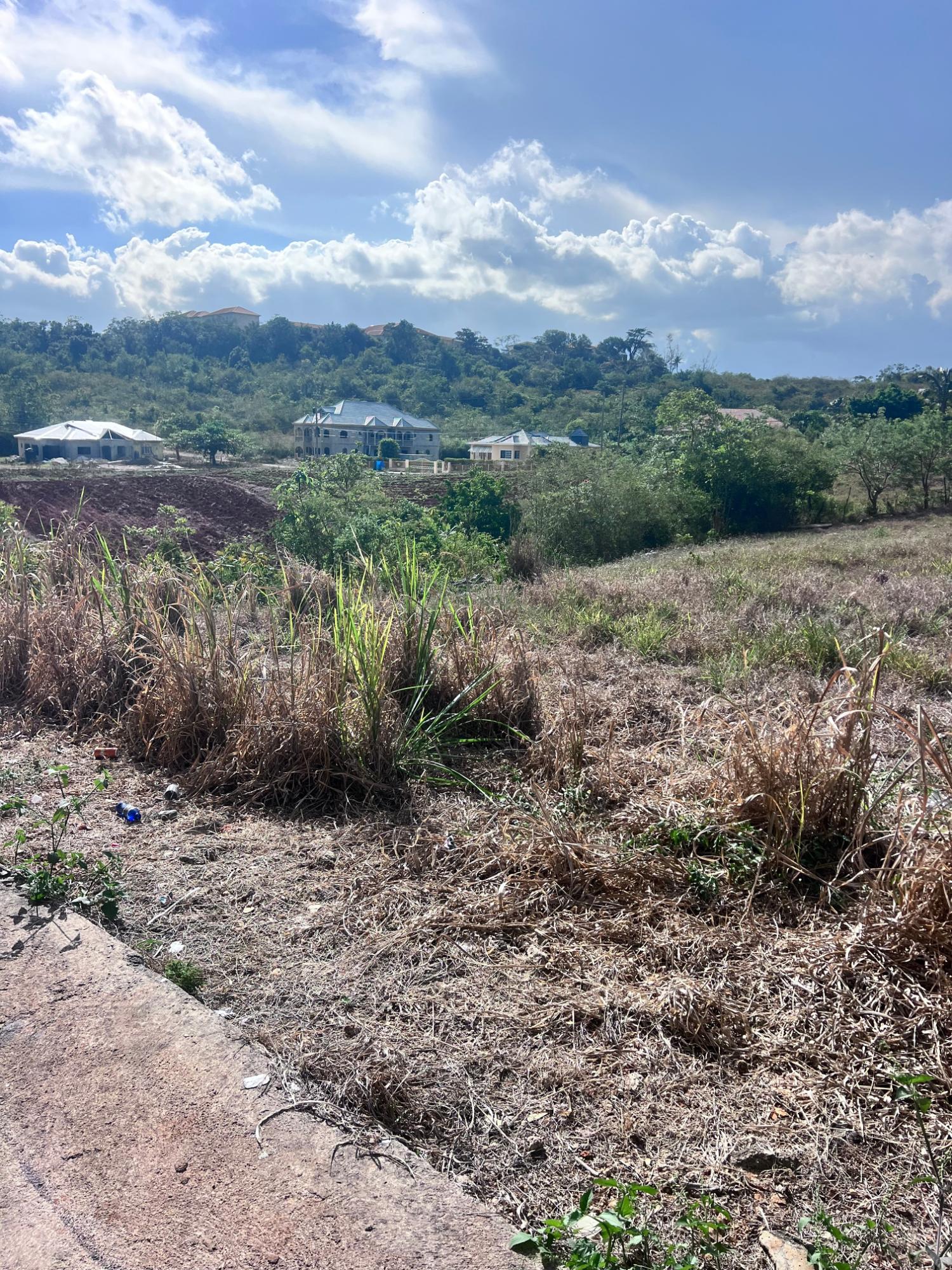Fifteenth image of Lot 40-41 Knockpatrick in Knockpatirck, Manchester, Jamaica - property is For Sale