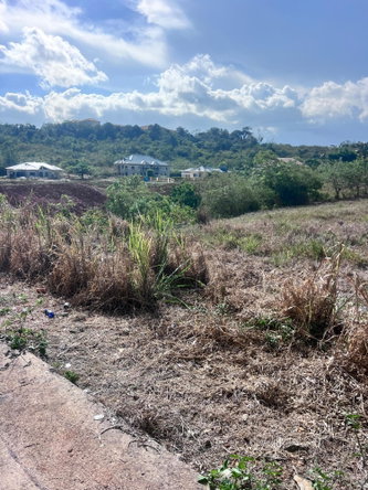 Fifteenth image of Lot 40-41 Knockpatrick in Knockpatirck, Manchester, Jamaica - property is For Sale