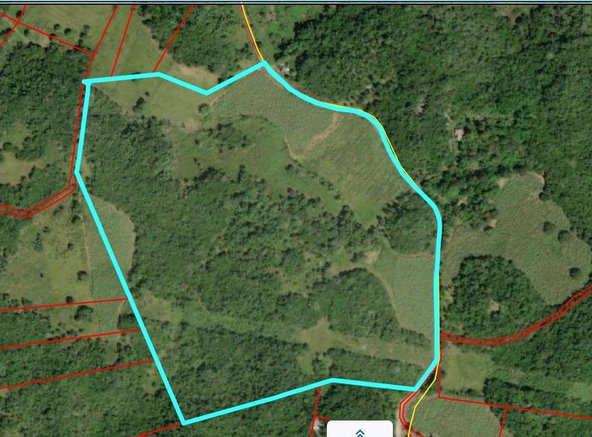 First image of Brampton, Trelawny in Jackson Town, Trelawny, Jamaica - property is For Sale