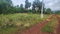 First image of Brambleon Hall, Nain p o, in Nain, St. Elizabeth, Jamaica - property is For Sale