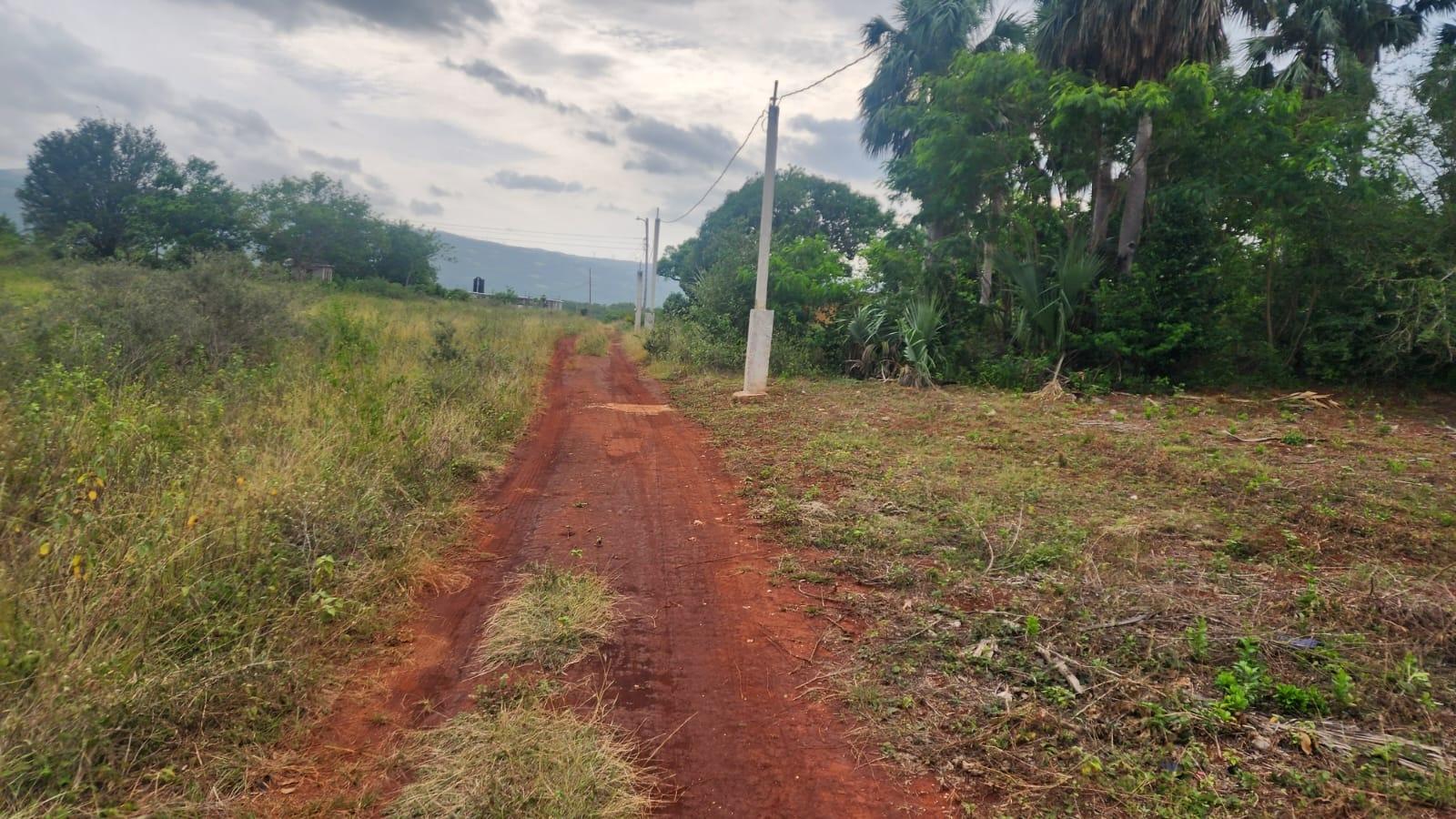 Fifth image of Brambleon Hall, Nain p o, in Nain, St. Elizabeth, Jamaica - property is For Sale