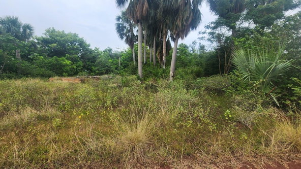 Sixth image of Brambleon Hall, Nain p o, in Nain, St. Elizabeth, Jamaica - property is For Sale