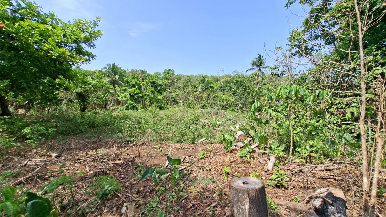 First image of Banbury in Banbury, St. Catherine, Jamaica - property is For Sale