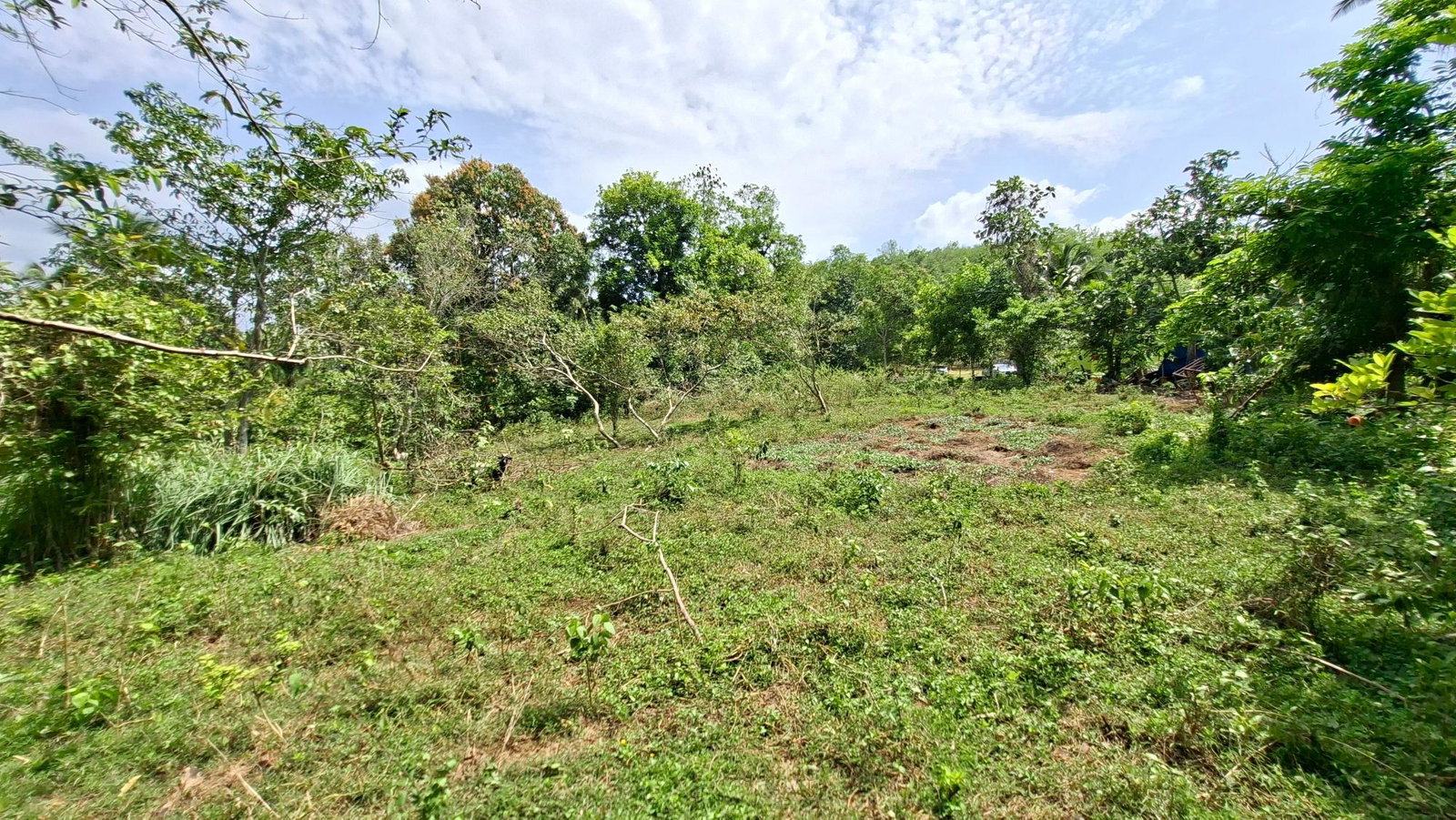 Eleventh image of Banbury in Banbury, St. Catherine, Jamaica - property is For Sale