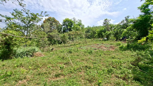 Eleventh image of Banbury in Banbury, St. Catherine, Jamaica - property is For Sale