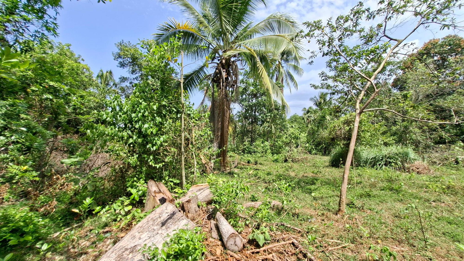 Twelfth image of Banbury in Banbury, St. Catherine, Jamaica - property is For Sale