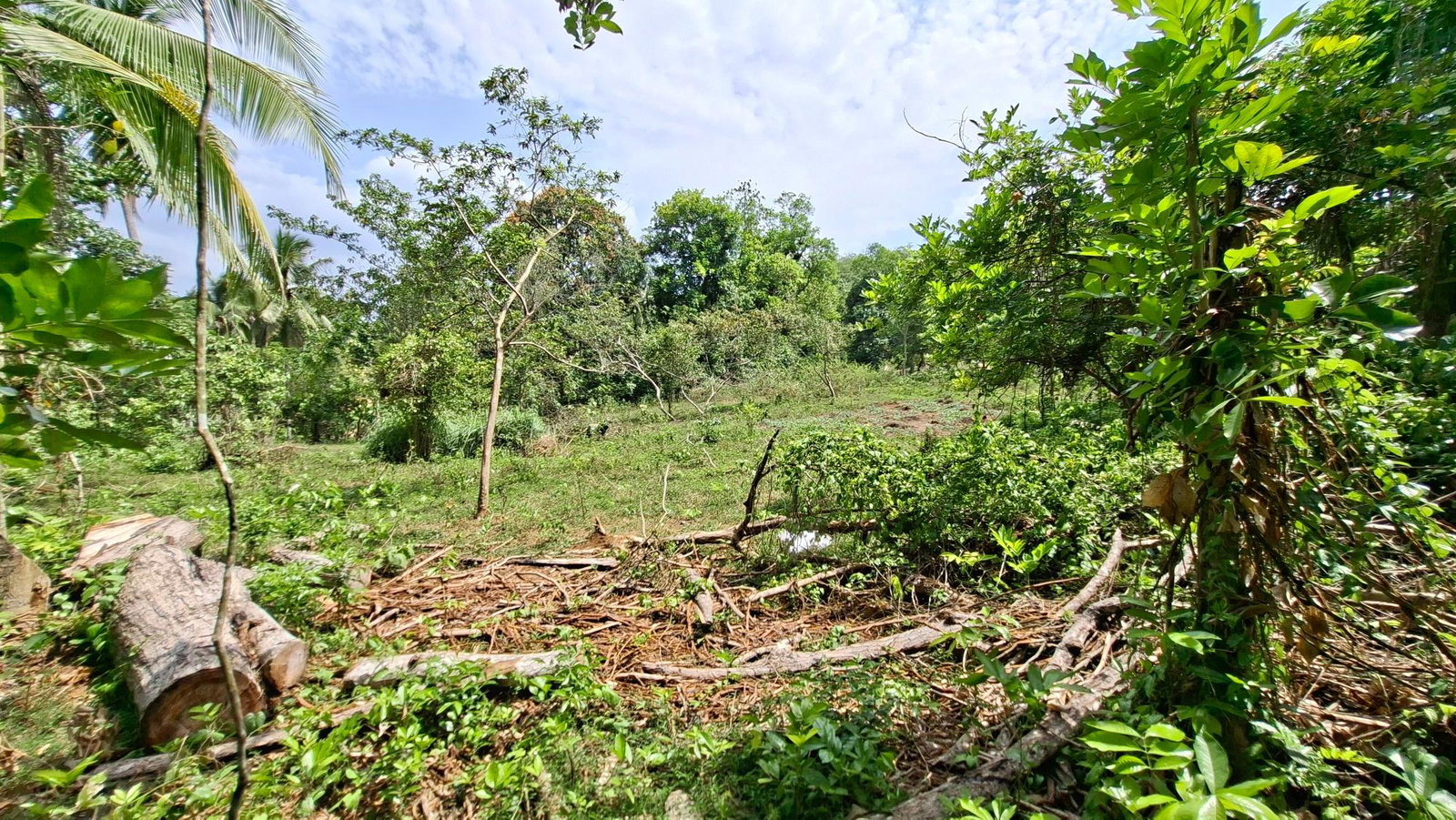 Thirteenth image of Banbury in Banbury, St. Catherine, Jamaica - property is For Sale