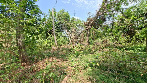 Fifteenth image of Banbury in Banbury, St. Catherine, Jamaica - property is For Sale