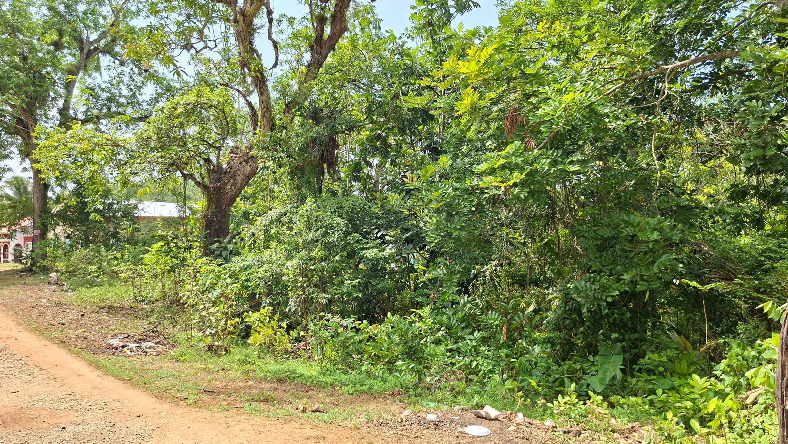 Seventeenth image of Banbury in Banbury, St. Catherine, Jamaica - property is For Sale
