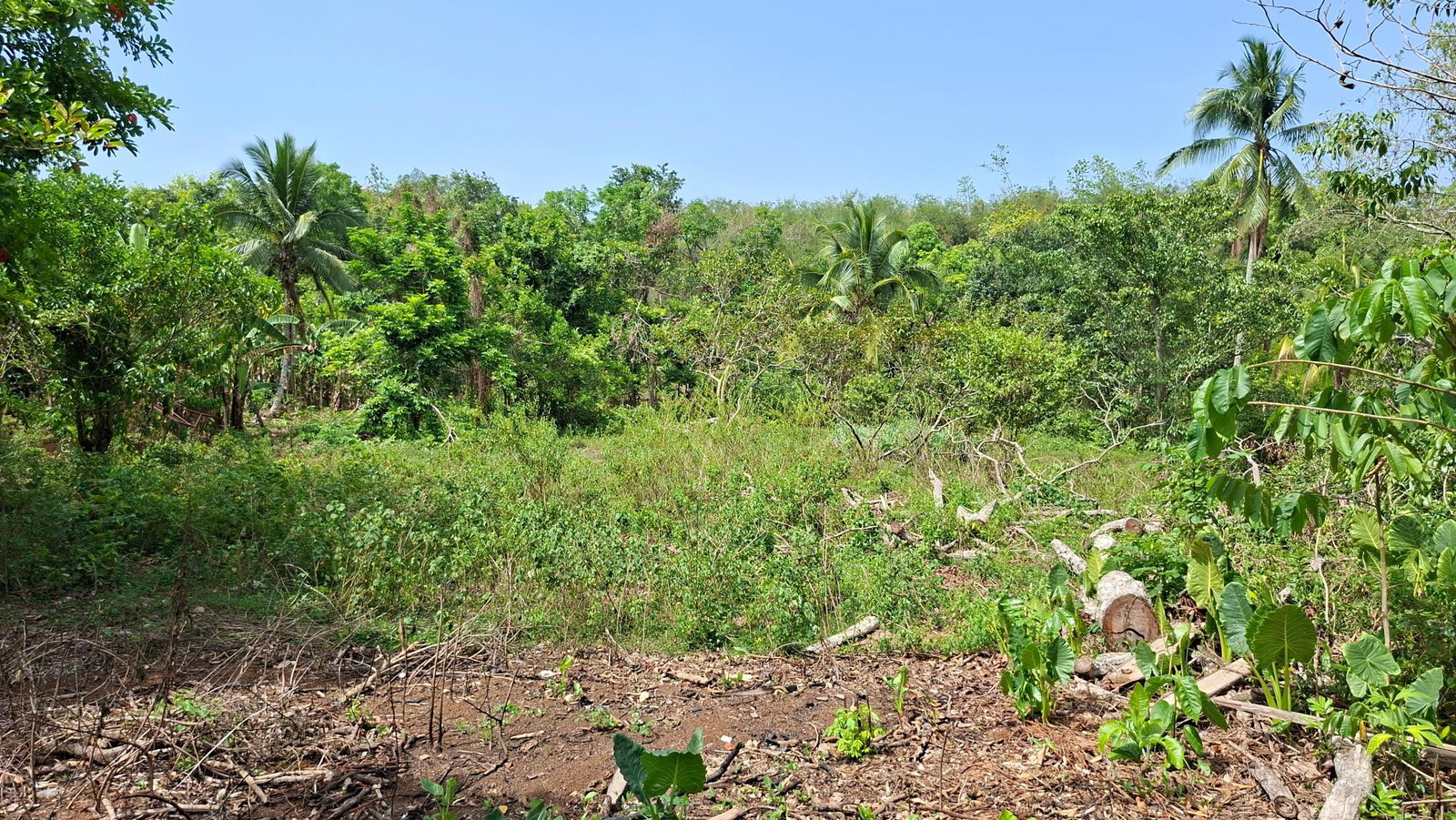Second image of Banbury in Banbury, St. Catherine, Jamaica - property is For Sale