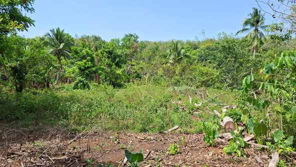 Second image of Banbury in Banbury, St. Catherine, Jamaica - property is For Sale