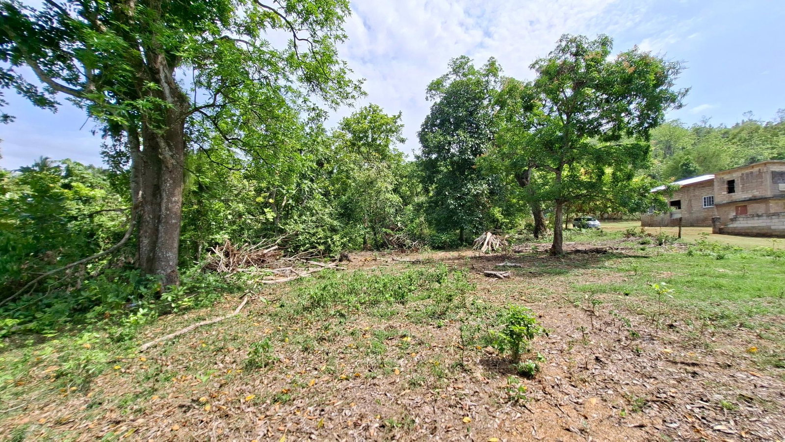 Sixth image of Banbury in Banbury, St. Catherine, Jamaica - property is For Sale