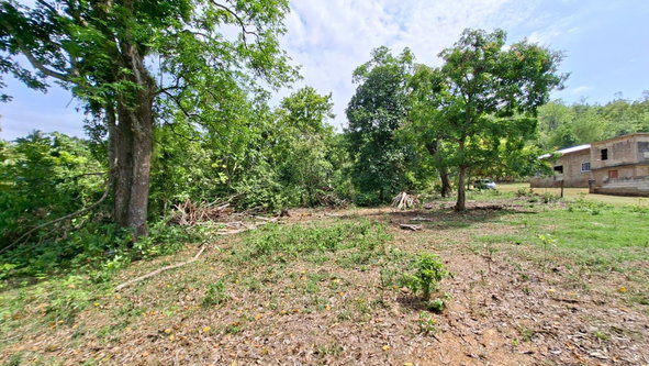 Sixth image of Banbury in Banbury, St. Catherine, Jamaica - property is For Sale