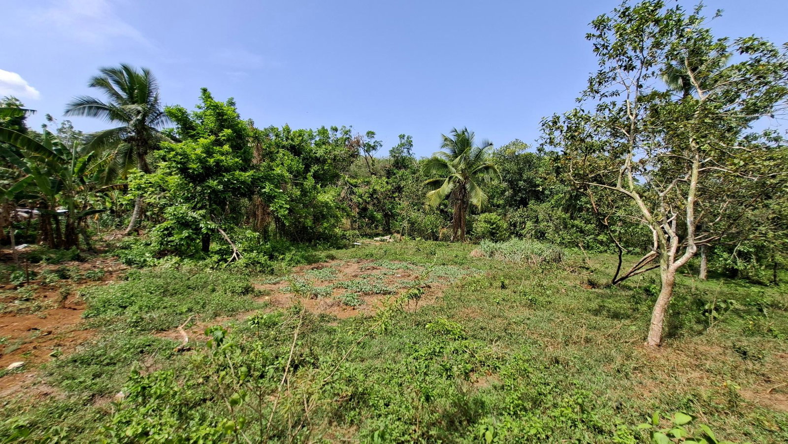 Seventh image of Banbury in Banbury, St. Catherine, Jamaica - property is For Sale
