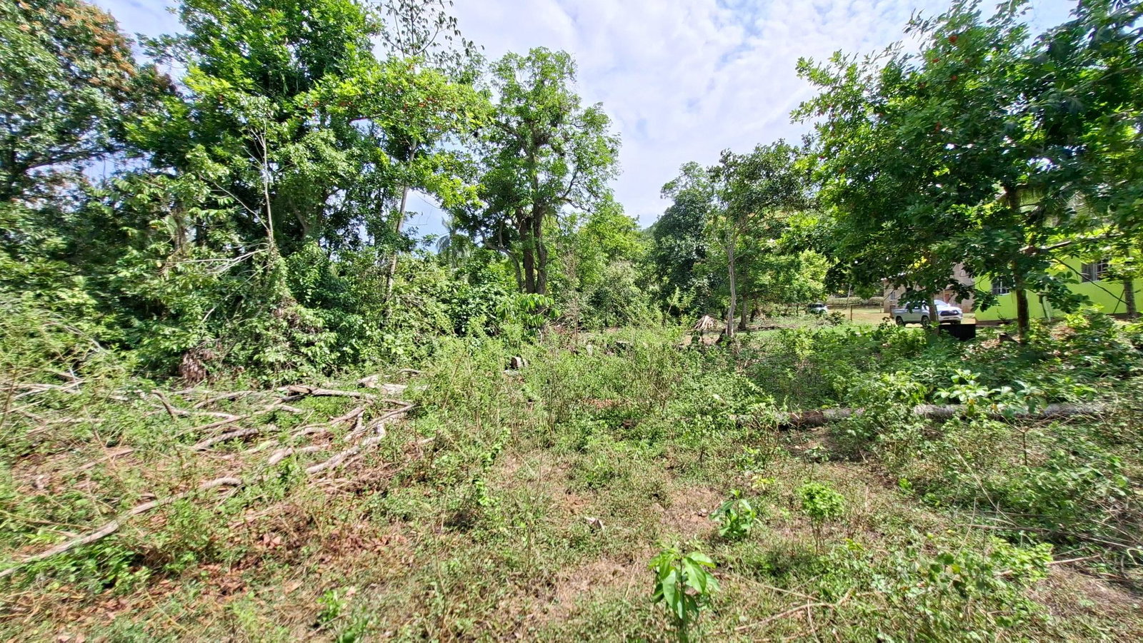 Eighth image of Banbury in Banbury, St. Catherine, Jamaica - property is For Sale