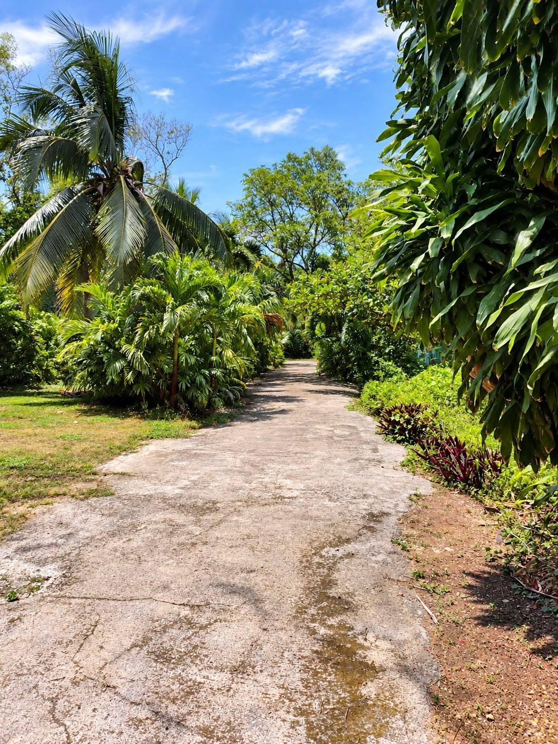 Twenty-Fourth image of 6w- Tower Isle Street in Tower Isle, St. Mary, Jamaica - property is For Sale