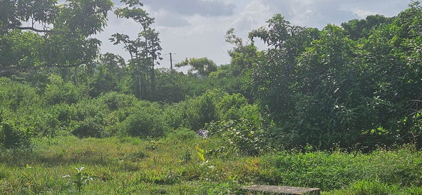 Tenth image of 14 Burnt Ground in Ramble, Hanover, Jamaica - property is For Sale