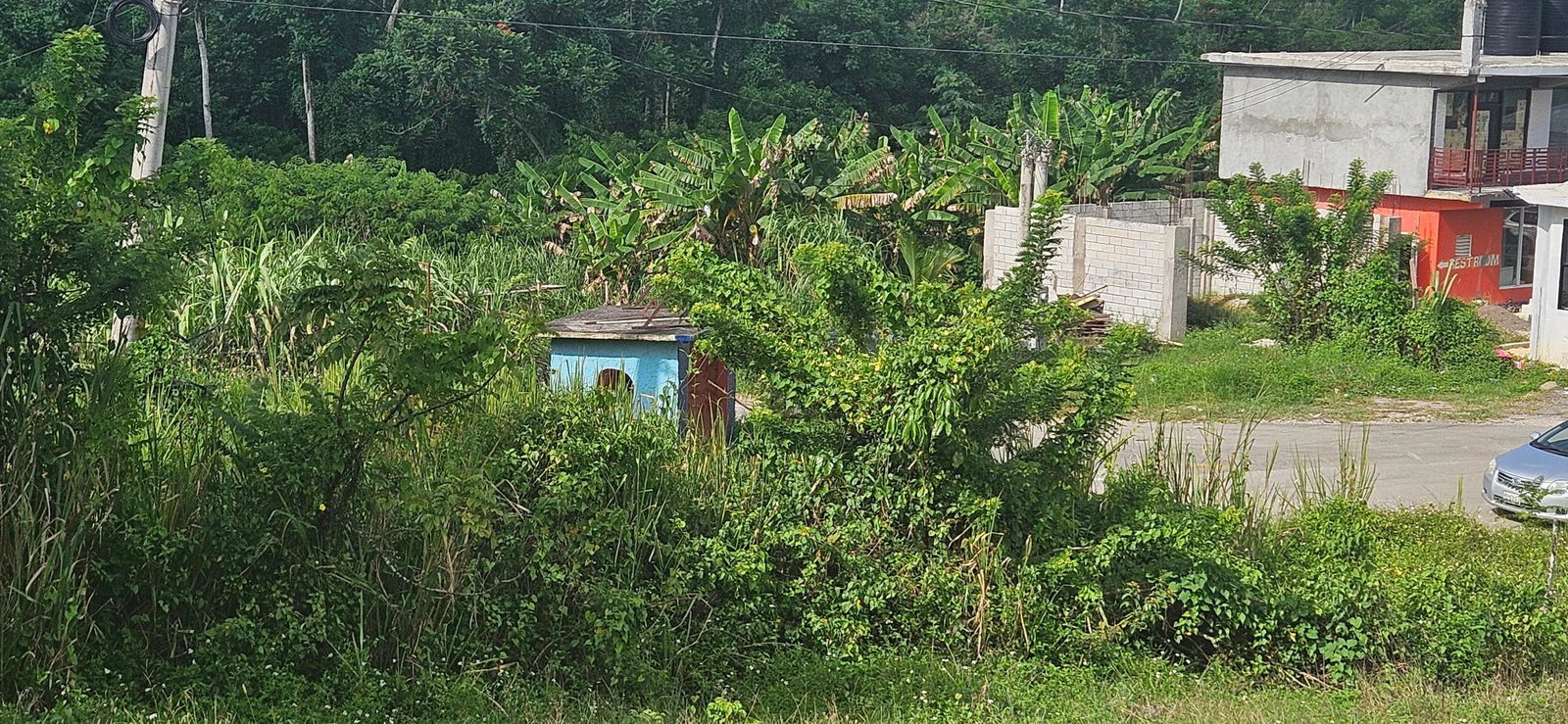 Thirteenth image of 14 Burnt Ground in Ramble, Hanover, Jamaica - property is For Sale