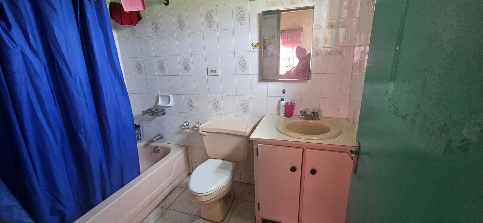 Twenty-Eighth image of 14 Burnt Ground in Ramble, Hanover, Jamaica - property is For Sale