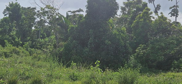 Third image of 14 Burnt Ground in Ramble, Hanover, Jamaica - property is For Sale