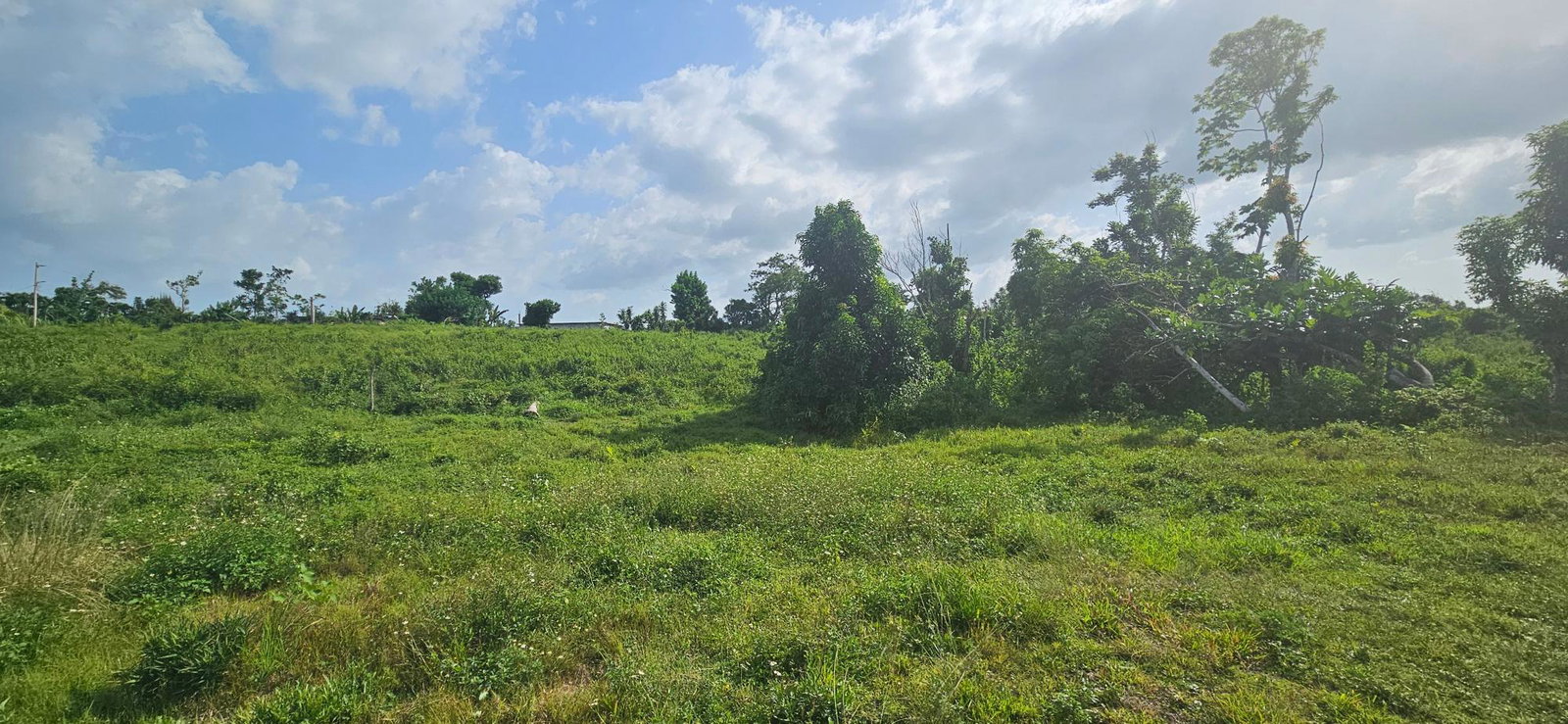 Seventh image of 14 Burnt Ground in Ramble, Hanover, Jamaica - property is For Sale