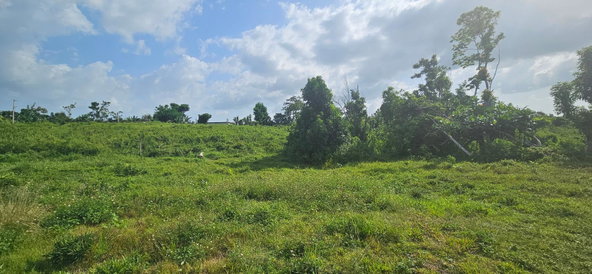 Seventh image of 14 Burnt Ground in Ramble, Hanover, Jamaica - property is For Sale