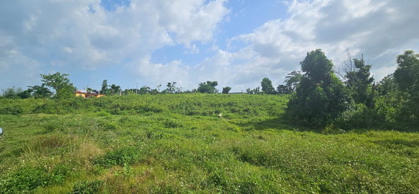 Eighth image of 14 Burnt Ground in Ramble, Hanover, Jamaica - property is For Sale