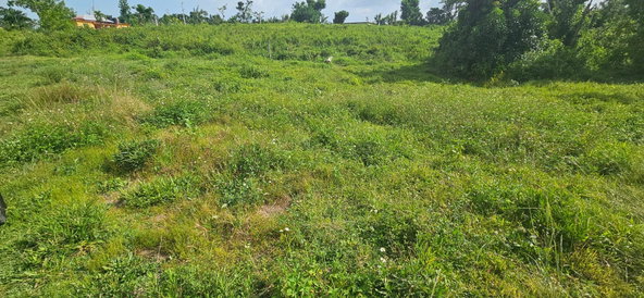 Ninth image of 14 Burnt Ground in Ramble, Hanover, Jamaica - property is For Sale