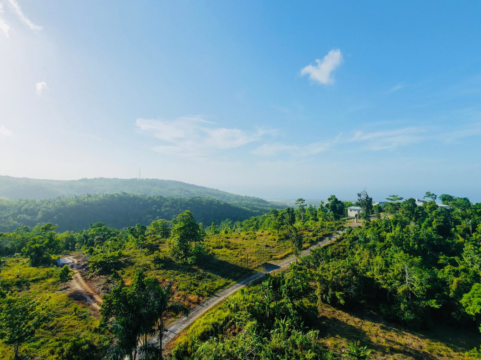Seventh image of Lot No. 1a Happy Retreat in Breadnut Hill, St. Ann, Jamaica - property is For Sale