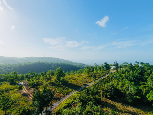 Seventh image of Lot No. 1a Happy Retreat in Breadnut Hill, St. Ann, Jamaica - property is For Sale