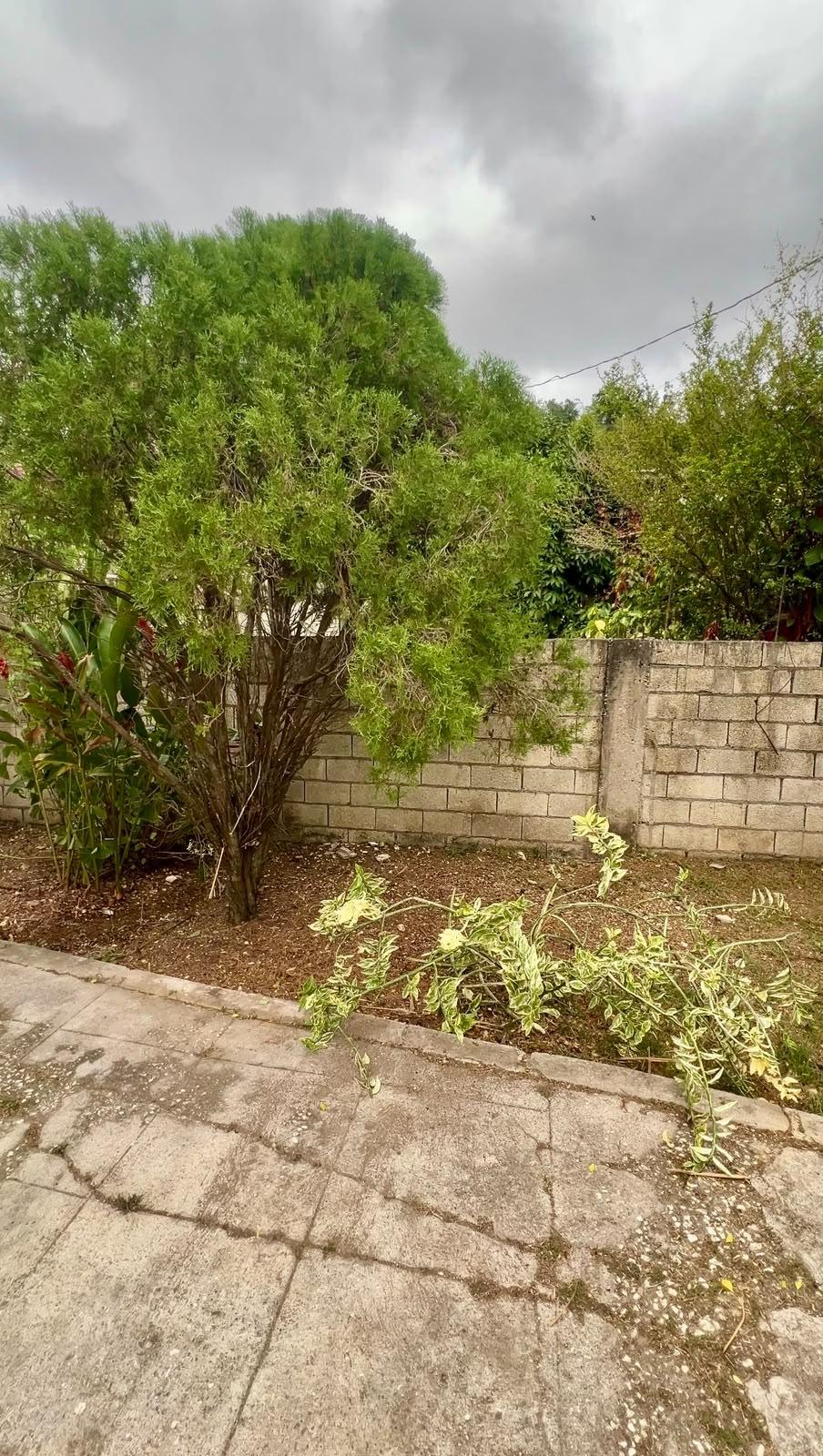 Seventh image of 132 New Canaan in Canaan, St. James, Jamaica - property is For Sale