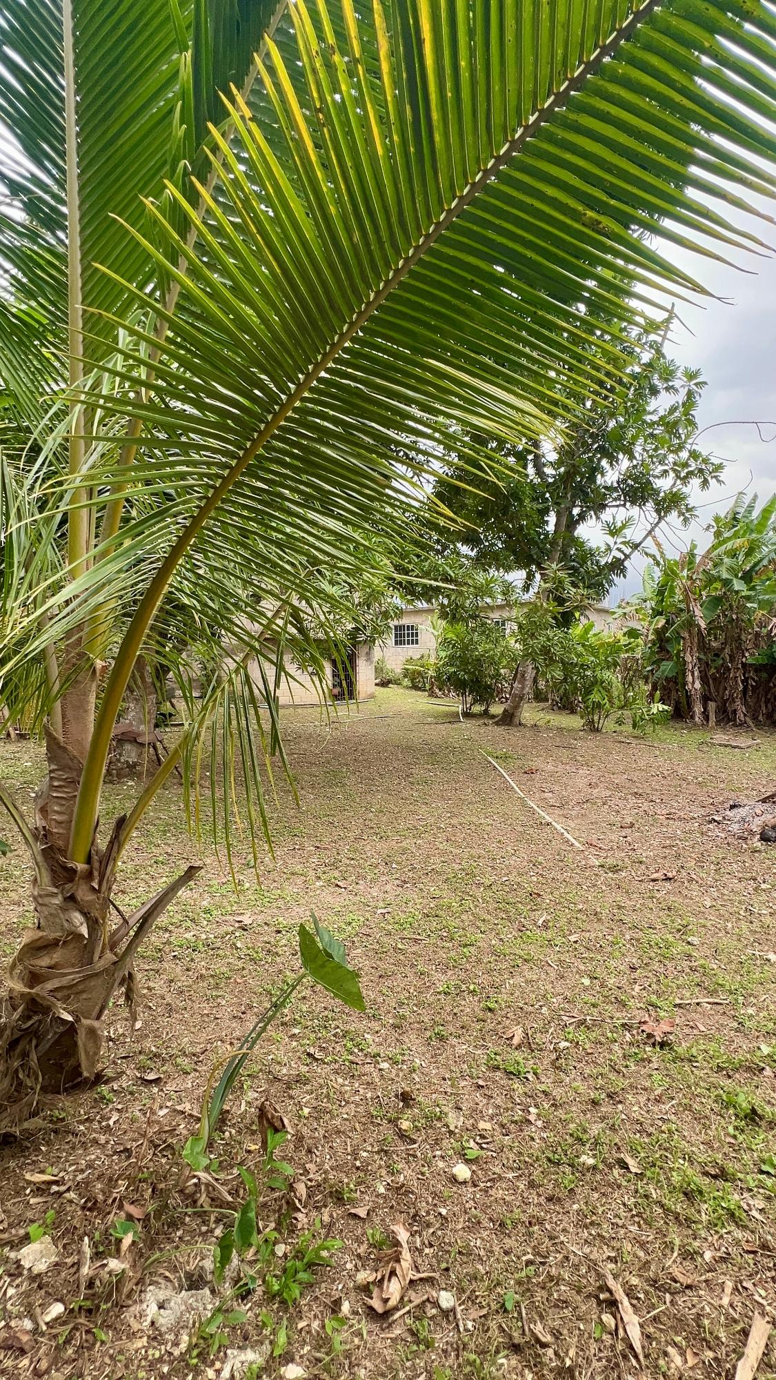 Ninth image of 132 New Canaan in Canaan, St. James, Jamaica - property is For Sale
