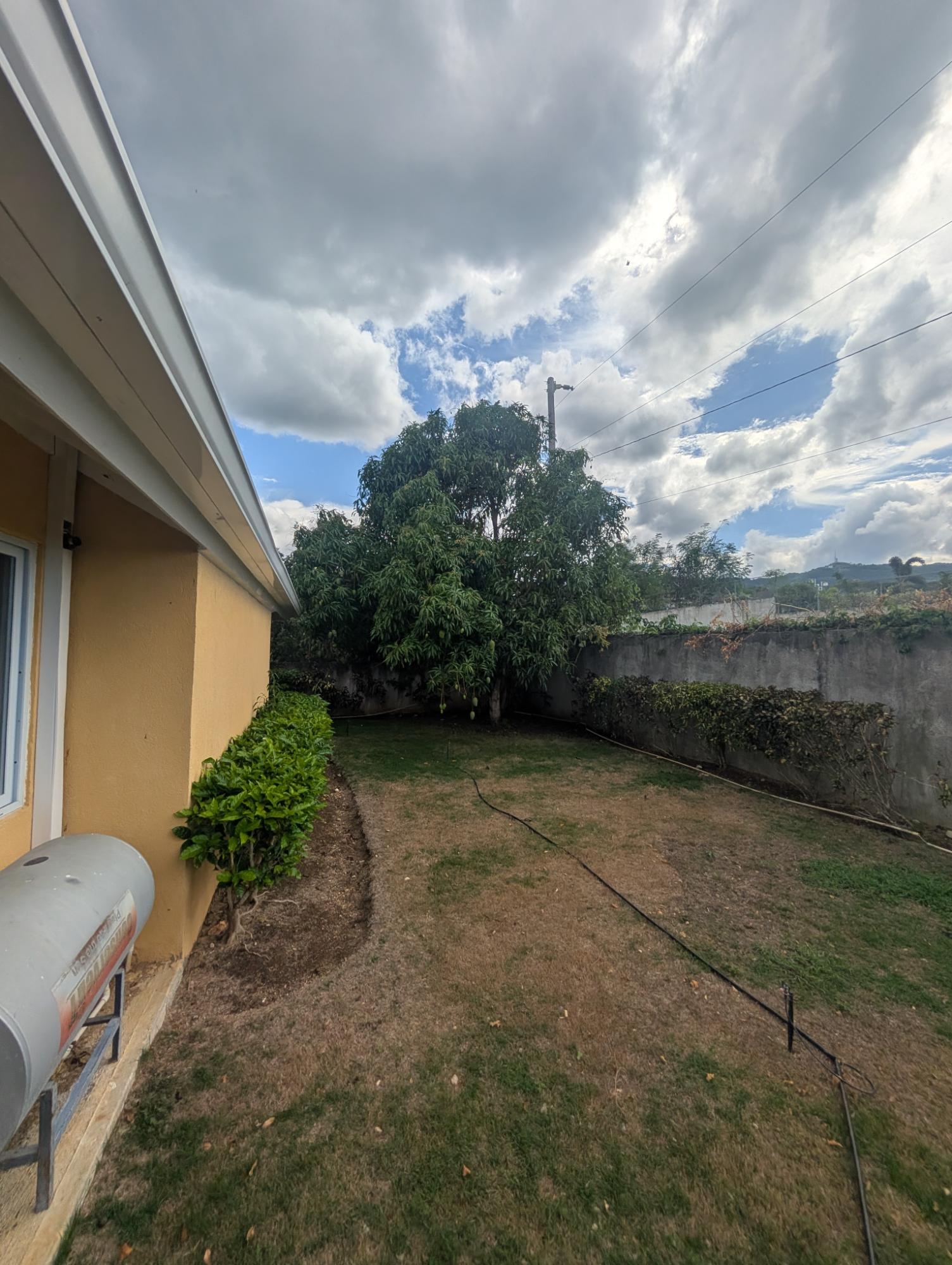Sixteenth image of Breadfruit Avenue in Richmond, St. Ann, Jamaica - property is For Rent