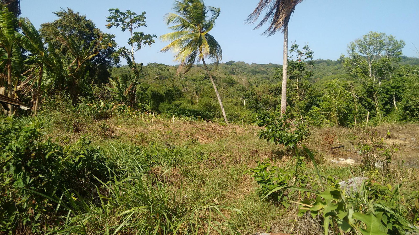 First image of 57- Haywood Dist in Heywood Hall, St. Mary, Jamaica - property is For Sale