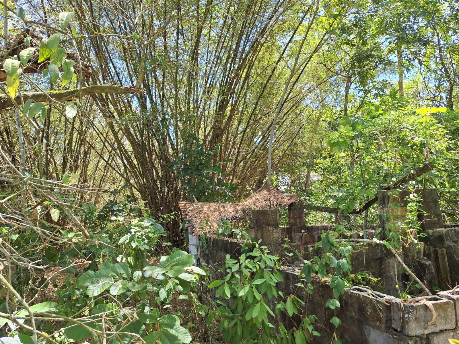 Eleventh image of 57- Haywood Dist in Heywood Hall, St. Mary, Jamaica - property is For Sale