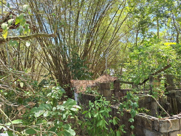 Eleventh image of 57- Haywood Dist in Heywood Hall, St. Mary, Jamaica - property is For Sale