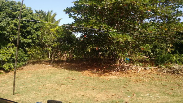 Second image of 57- Haywood Dist in Heywood Hall, St. Mary, Jamaica - property is For Sale