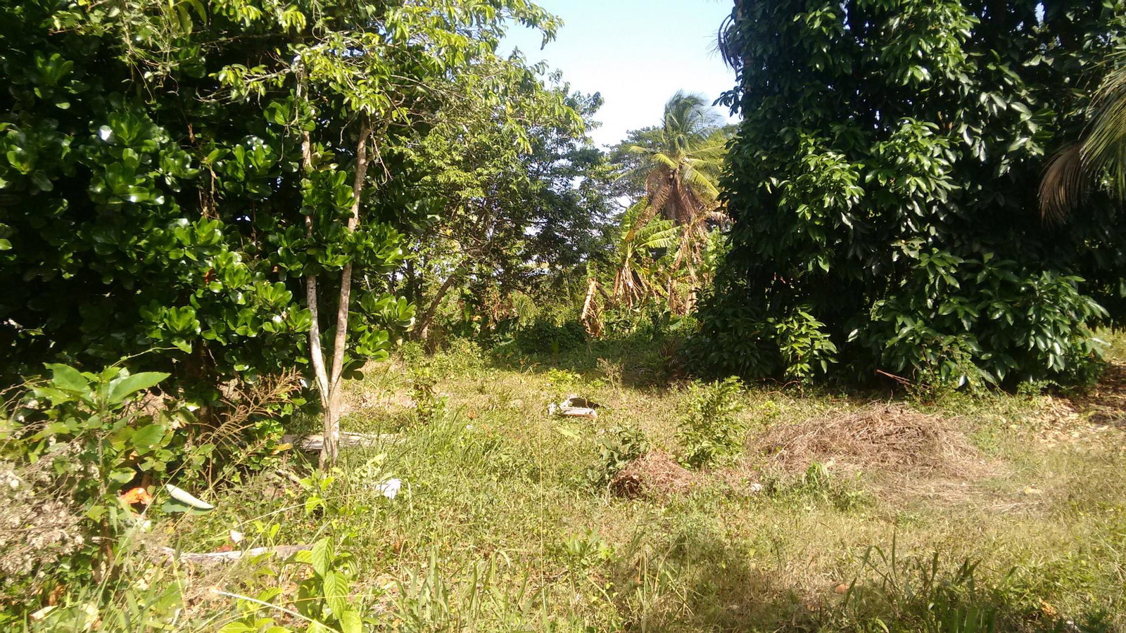 Third image of 57- Haywood Dist in Heywood Hall, St. Mary, Jamaica - property is For Sale