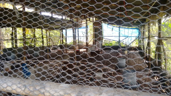 Fourth image of 57- Haywood Dist in Heywood Hall, St. Mary, Jamaica - property is For Sale