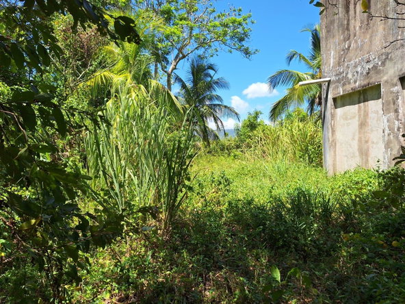 Sixth image of 57- Haywood Dist in Heywood Hall, St. Mary, Jamaica - property is For Sale