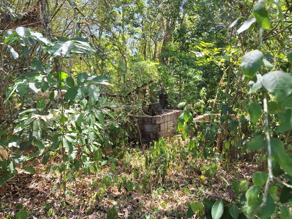 Eighth image of 57- Haywood Dist in Heywood Hall, St. Mary, Jamaica - property is For Sale