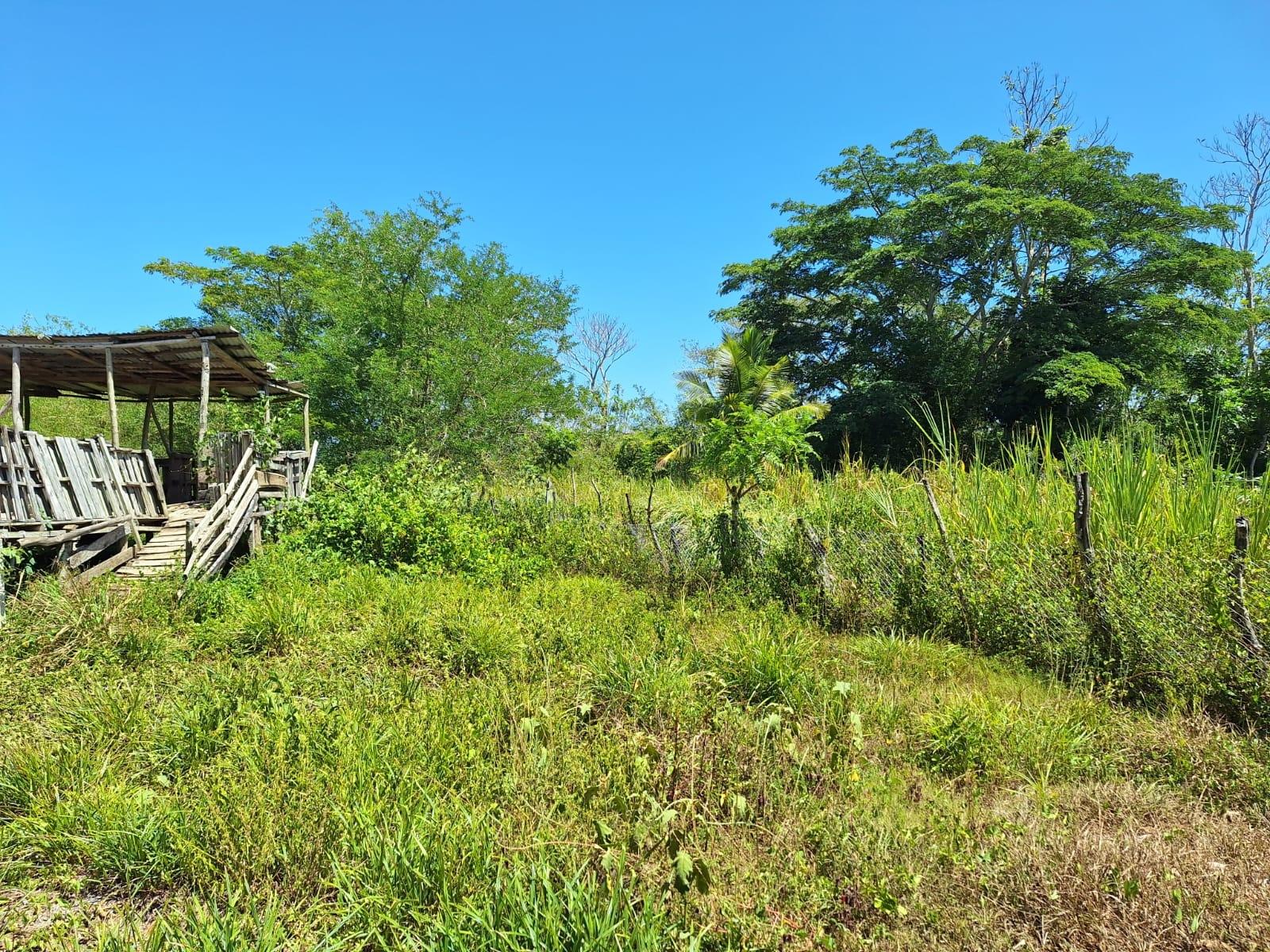 Ninth image of 57- Haywood Dist in Heywood Hall, St. Mary, Jamaica - property is For Sale