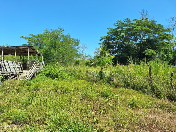 Ninth image of 57- Haywood Dist in Heywood Hall, St. Mary, Jamaica - property is For Sale
