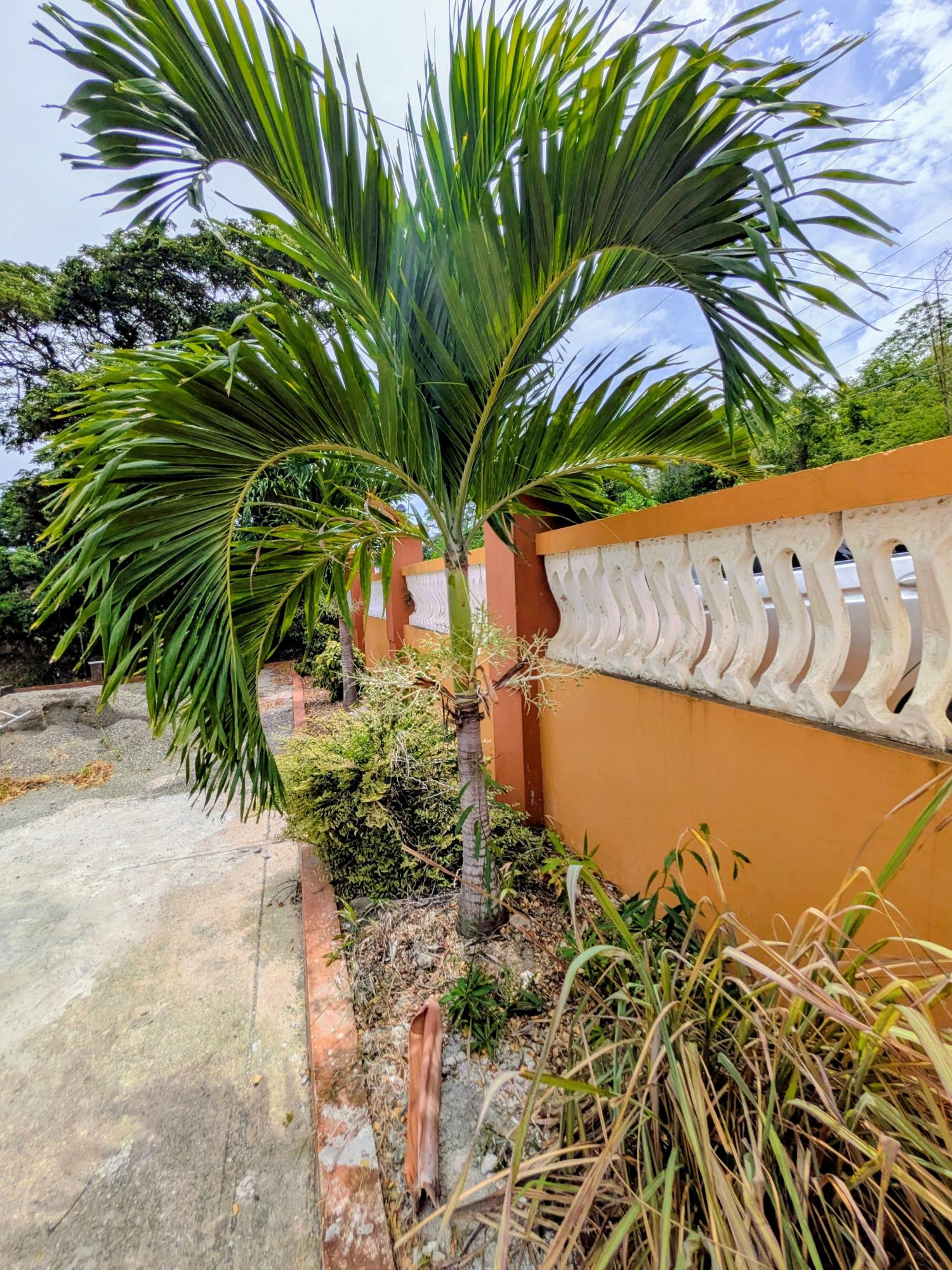 Second image of 123 Marrakech Drive in Boscobel, St. Mary, Jamaica - property is For Sale