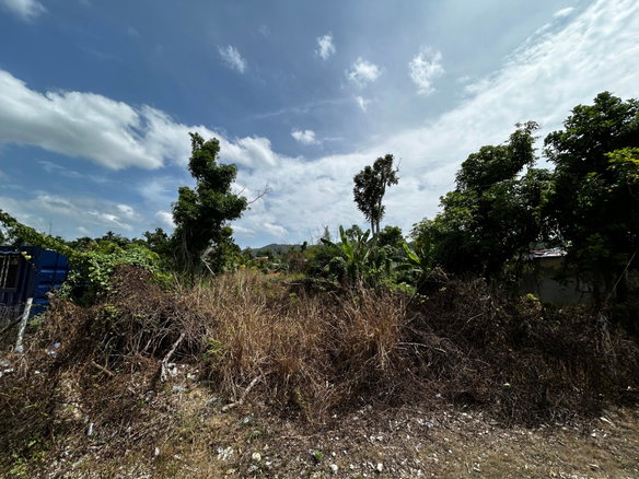 First image of Williamsfield in Siloah, St. Elizabeth, Jamaica - property is For Sale