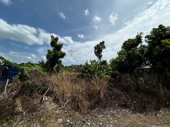 First image of Williamsfield in Siloah, St. Elizabeth, Jamaica - property is For Sale