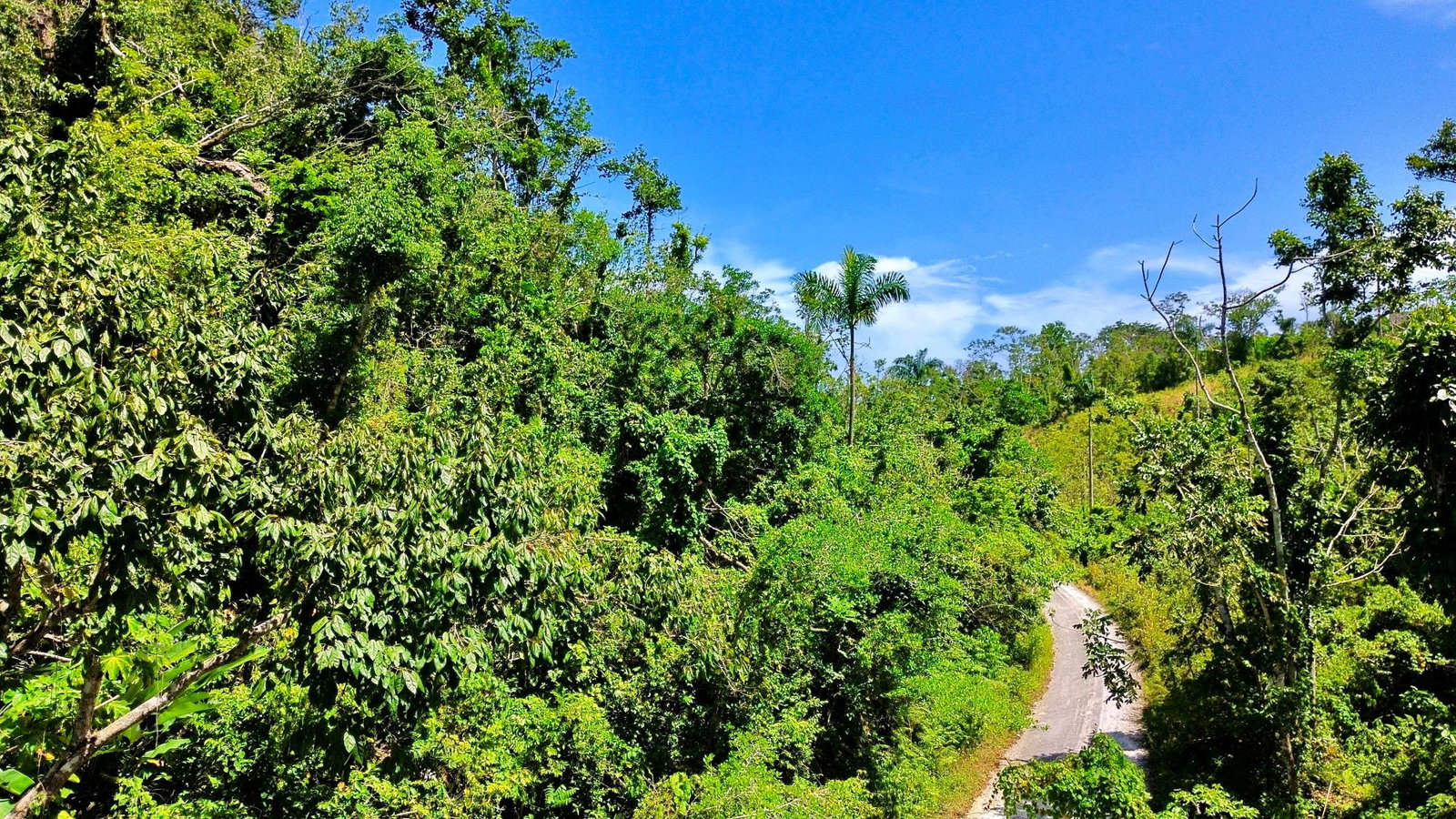 Second image of 170 b Lillyfield And Elgin Hall in Bamboo, St. Ann, Jamaica - property is For Sale
