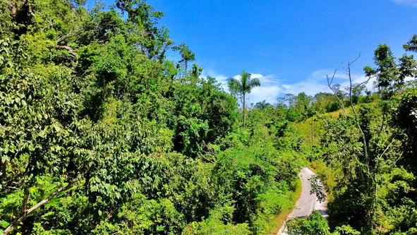 Second image of 170 b Lillyfield And Elgin Hall in Bamboo, St. Ann, Jamaica - property is For Sale